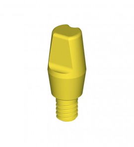 BC TL RN Solid Abutment 6°