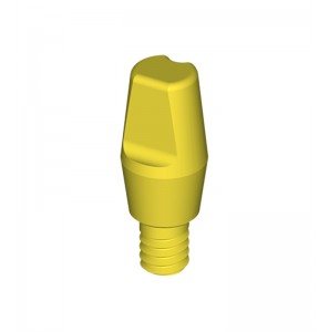 BC TL RN Solid Abutment 6°