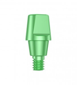 BC TL WN Solid Abutment 6°